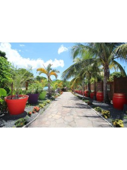 Résidence de la Cousinière – Séjour d’exception à Vieux-Habitants | Bonnes Adresses Inside97