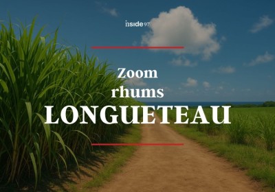Zoom Longueteau