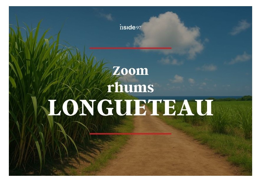 Zoom Longueteau